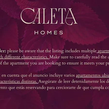 Apartamento Plaza Del Siglo & Boutique By Caleta Homes *